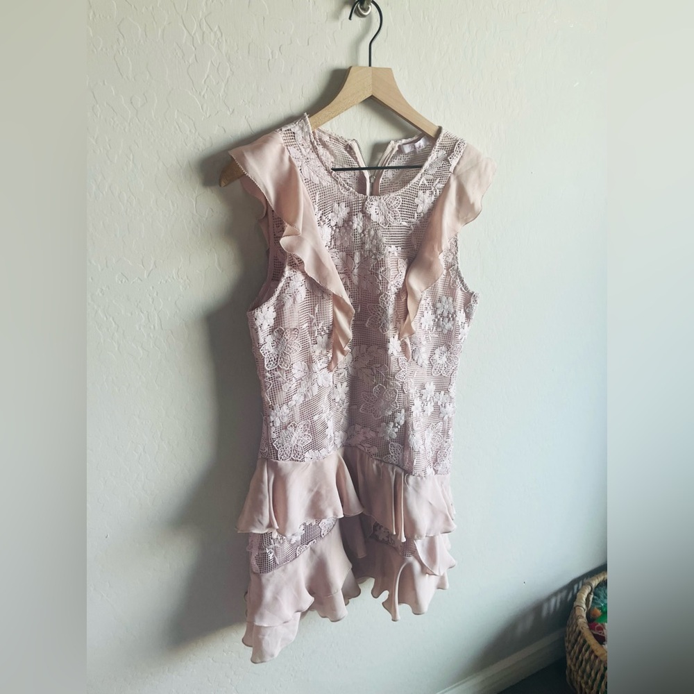 Parker Gabriel Lace Blush Ruffle Mini Dress Sz 10
Coquette Romantic Floral - Picture 4 of 8